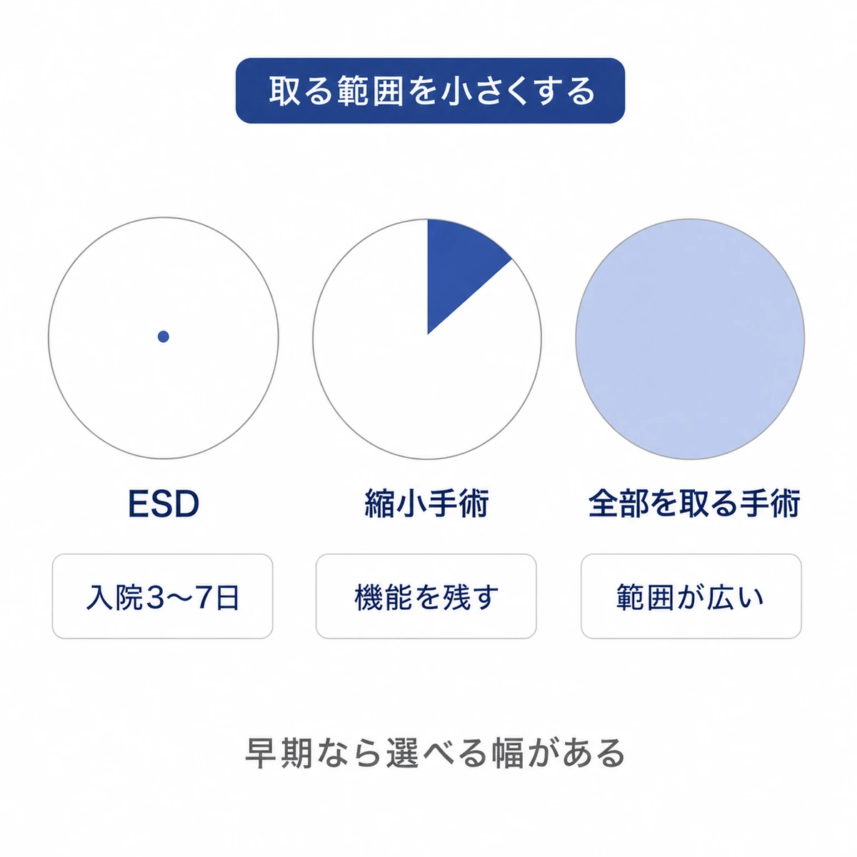 ESDと縮小手術と全部を取る手術で切除する範囲の広さが変わることを円の塗り面積で比べた図解イラスト