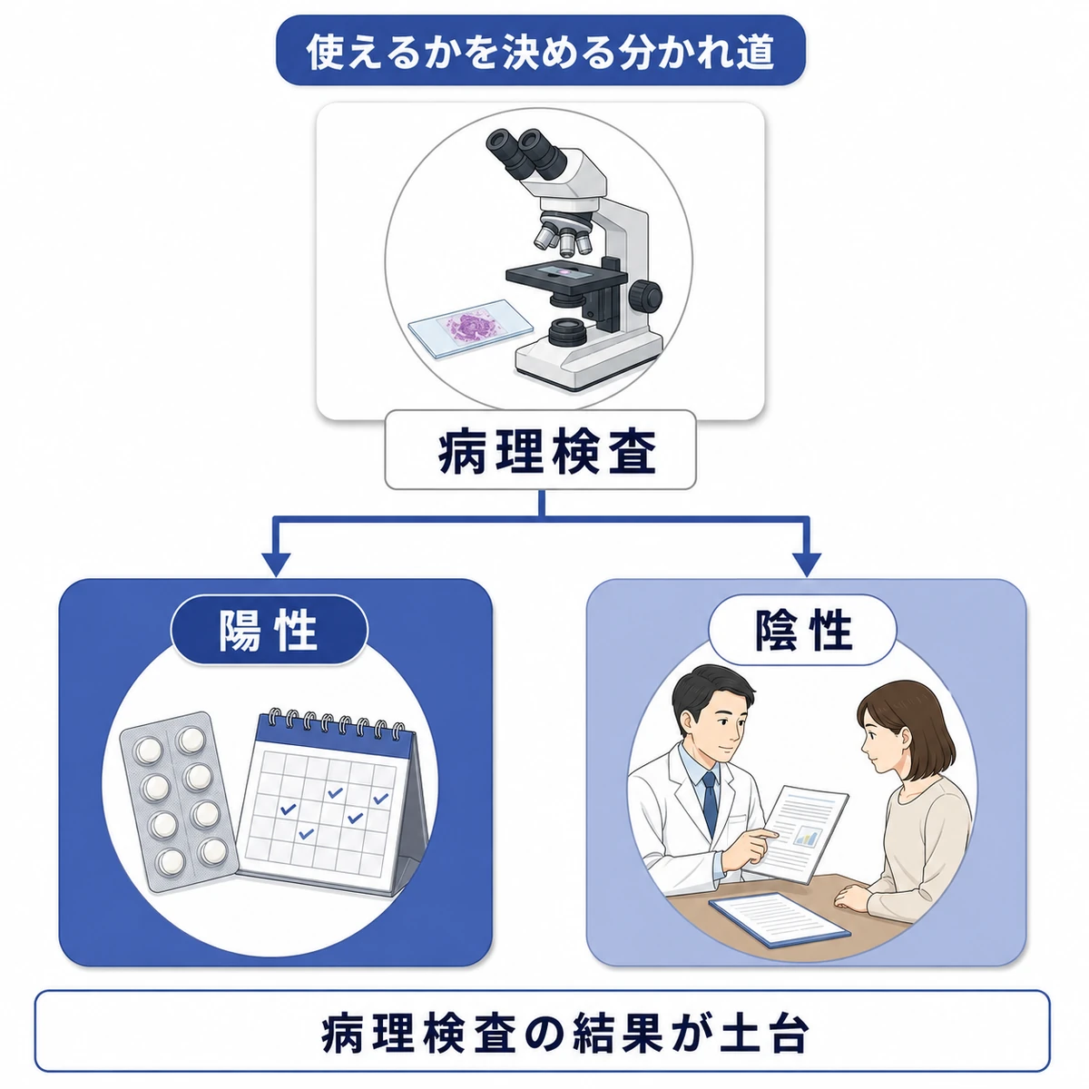 病理検査から、左の受容体陽性は服薬、右の陰性は医師との相談へ分かれる図