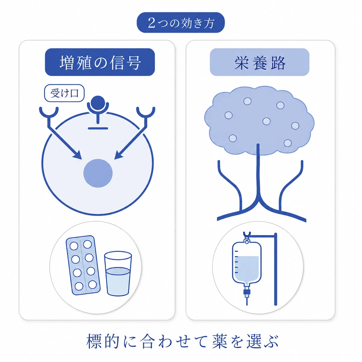 増殖の信号を止める薬と、腫瘍へ伸びる血管を妨げる薬の作用を左右で対比した図