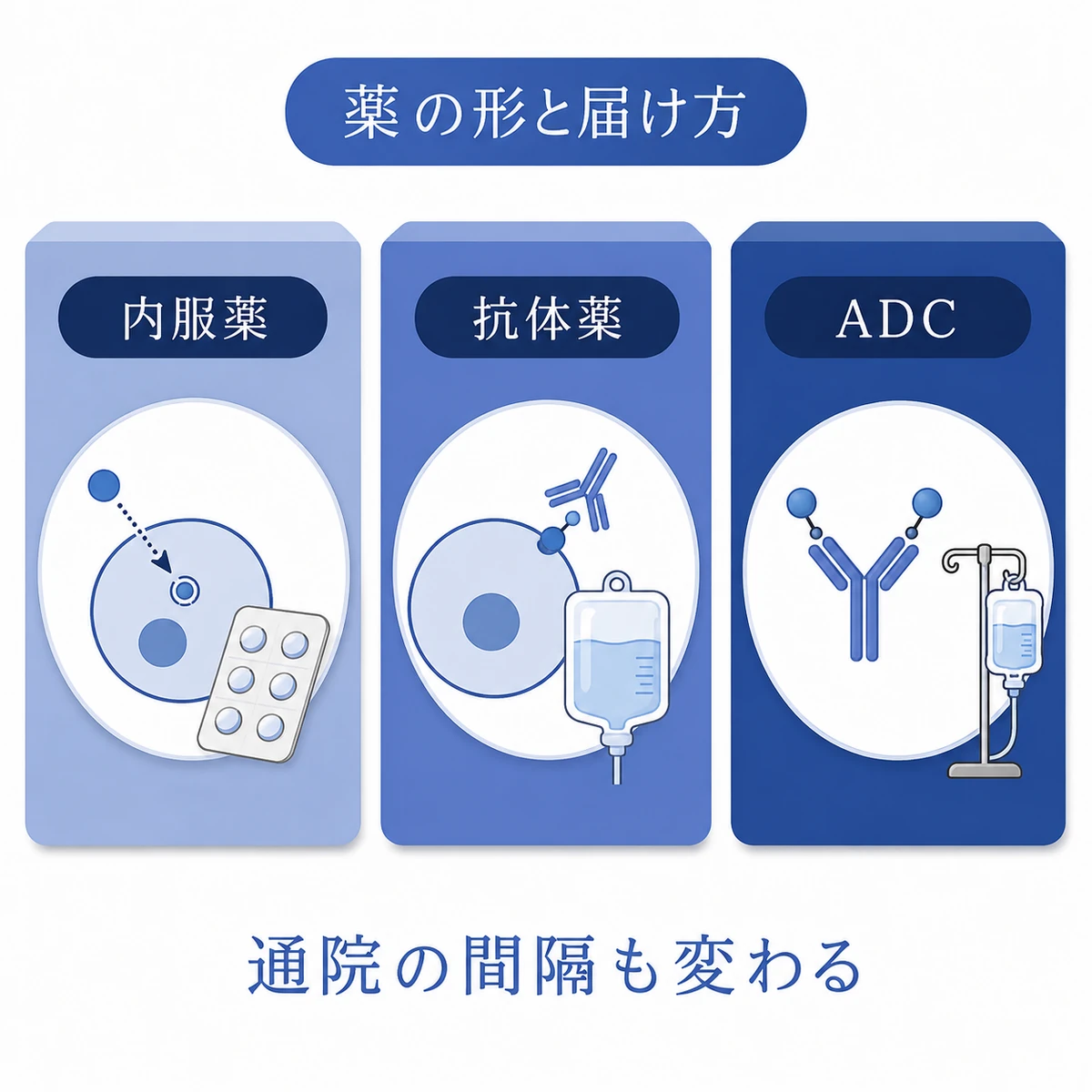 内服薬、抗体薬、ADCがそれぞれの標的へ届く仕組みと投与方法を比較した分類図