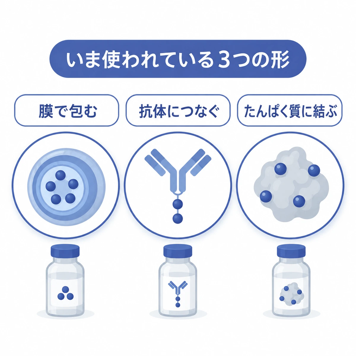 薬を膜で包む、抗体につなぐ、たんぱく質に結ぶ3種類のDDS製剤の模式図