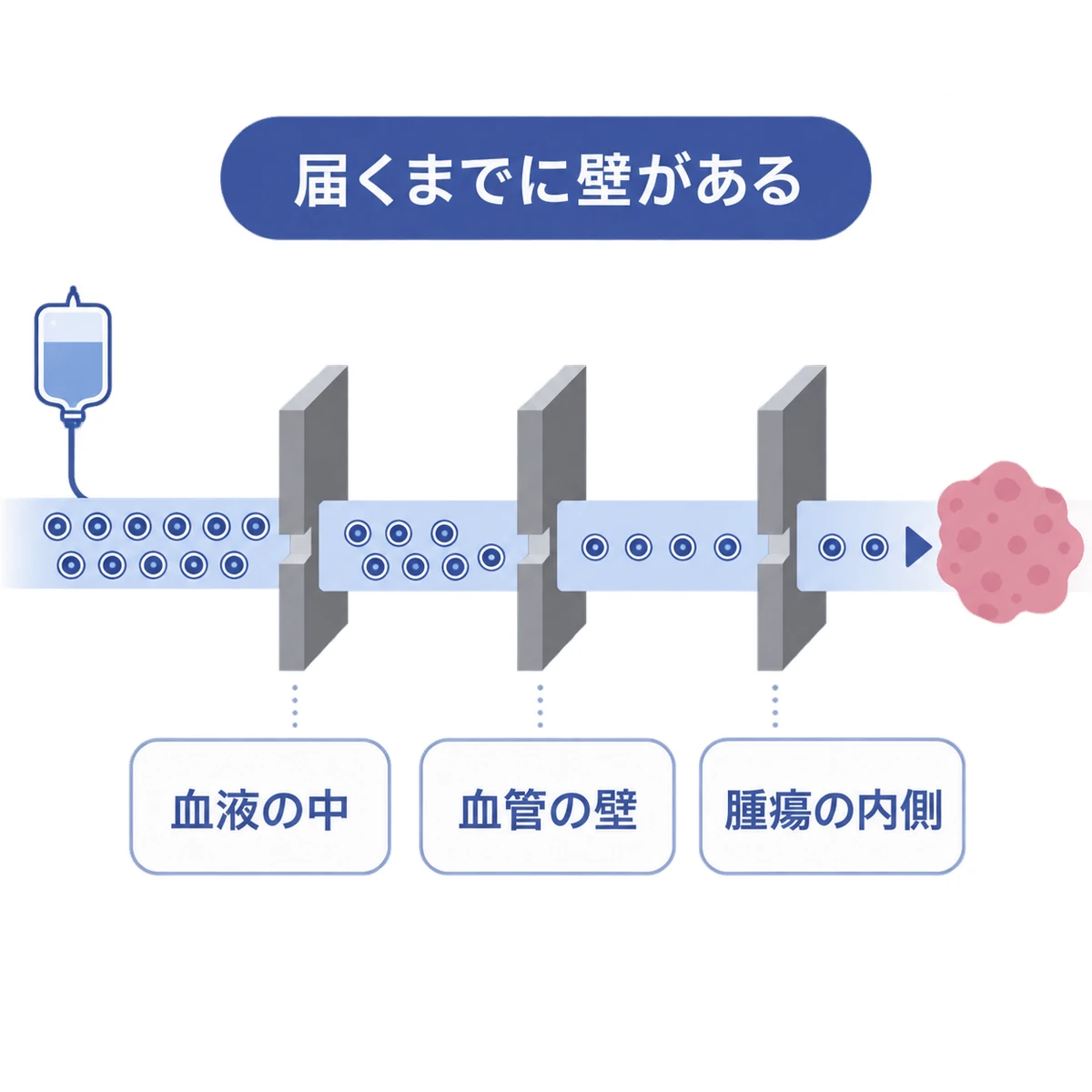 ナノ粒子が血液中から血管壁、腫瘍内部へ進むにつれて減っていく過程の図