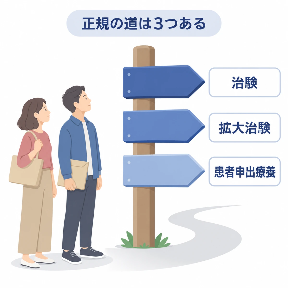 治験、拡大治験、患者申出療養という3つの選択肢を道しるべで示した図
